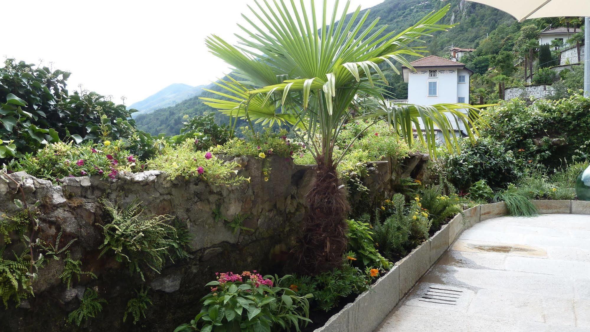 Bed & Breakfast Casa Forster Cannero Riviera